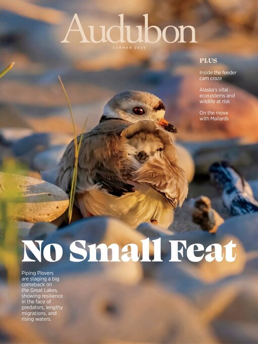 Title details for Audubon Magazine by National Audubon Society - Available